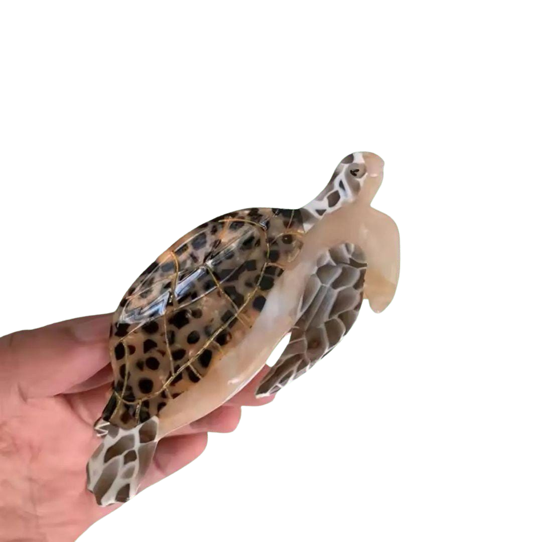 1 piece turtle hair claw clip