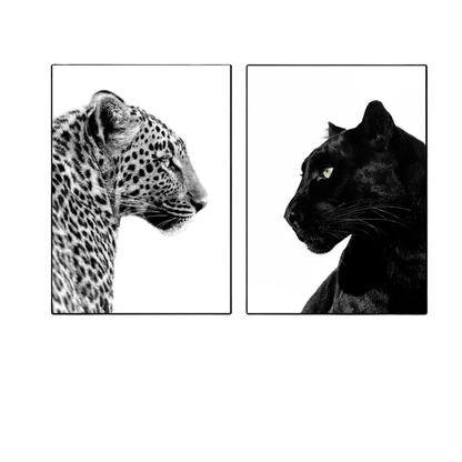 Black And White Leopard And Panther Wall Art