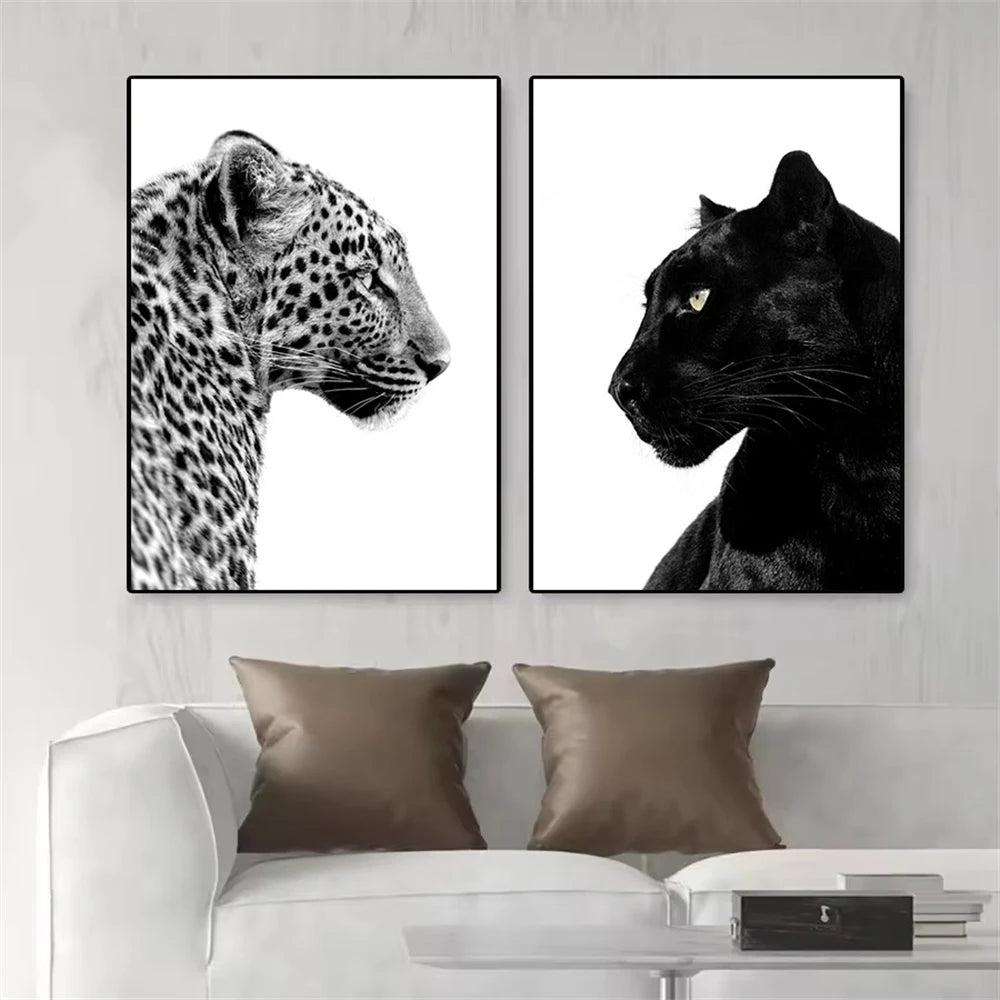 Black And White Leopard And Panther Wall Art