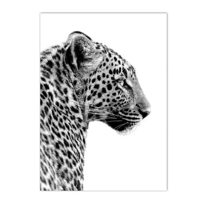 Black And White Leopard And Panther Wall Art