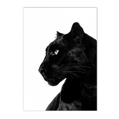 Black And White Leopard And Panther Wall Art