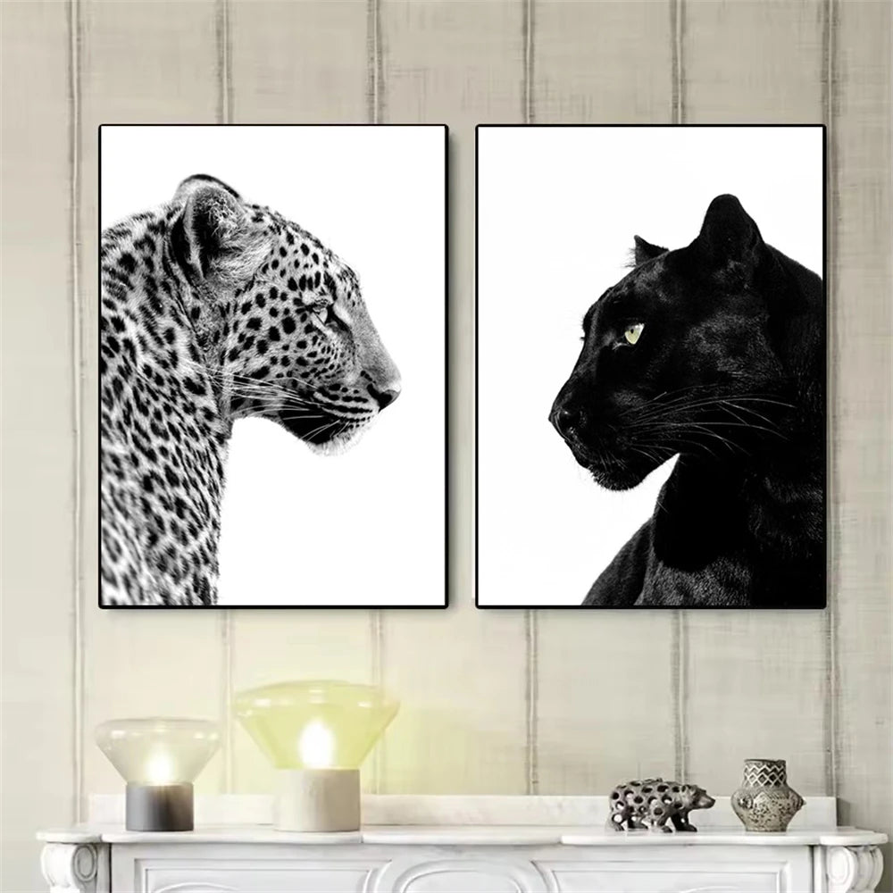 Black And White Leopard And Panther Wall Art