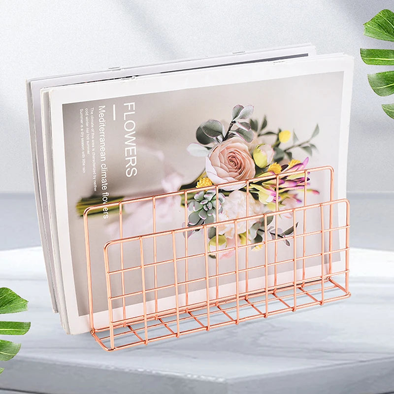 Minimalist Iron magazine Storage Rack