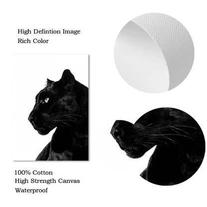 Black And White Leopard And Panther Wall Art
