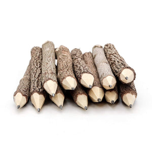 Wooden Tree Rustic Twig Pencils Unique Birch of 12 Camping Lumberjack